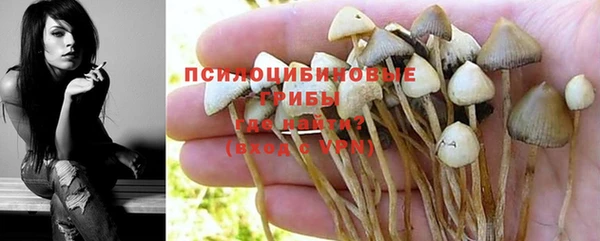 MDMA Белокуриха