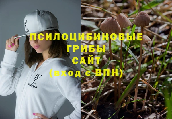 MDMA Белокуриха