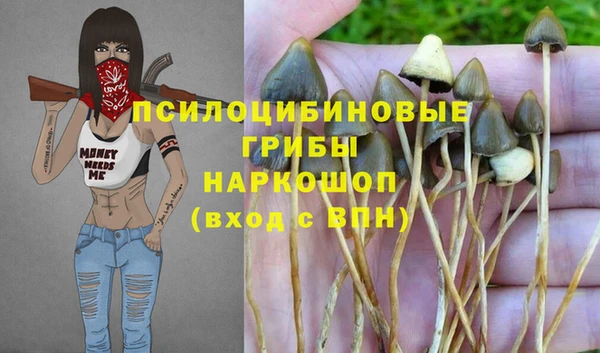 молекула духа Беломорск