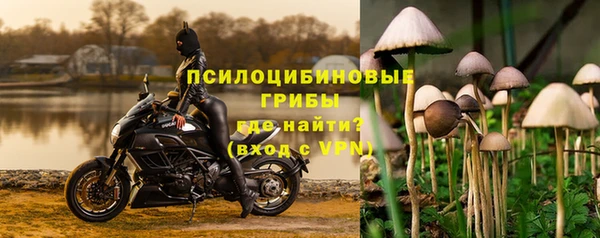 PSILOCYBIN Михайловск