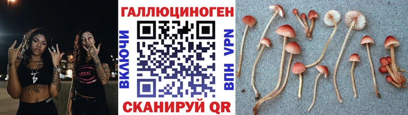 Псилоцибиновые грибы MAGIC MUSHROOMS  где можно купить   Армавир 
